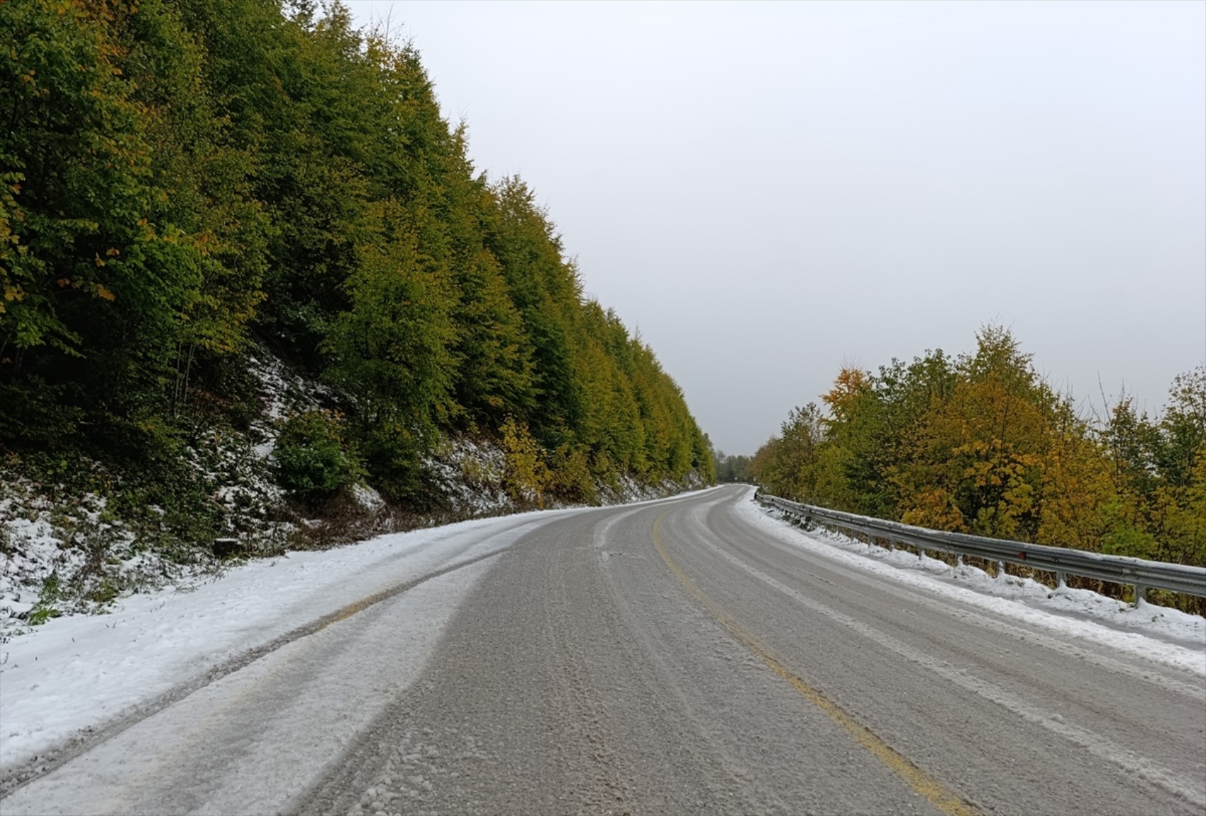 È caduta la prima neve dell'anno... Tutto si è tinto di bianco!