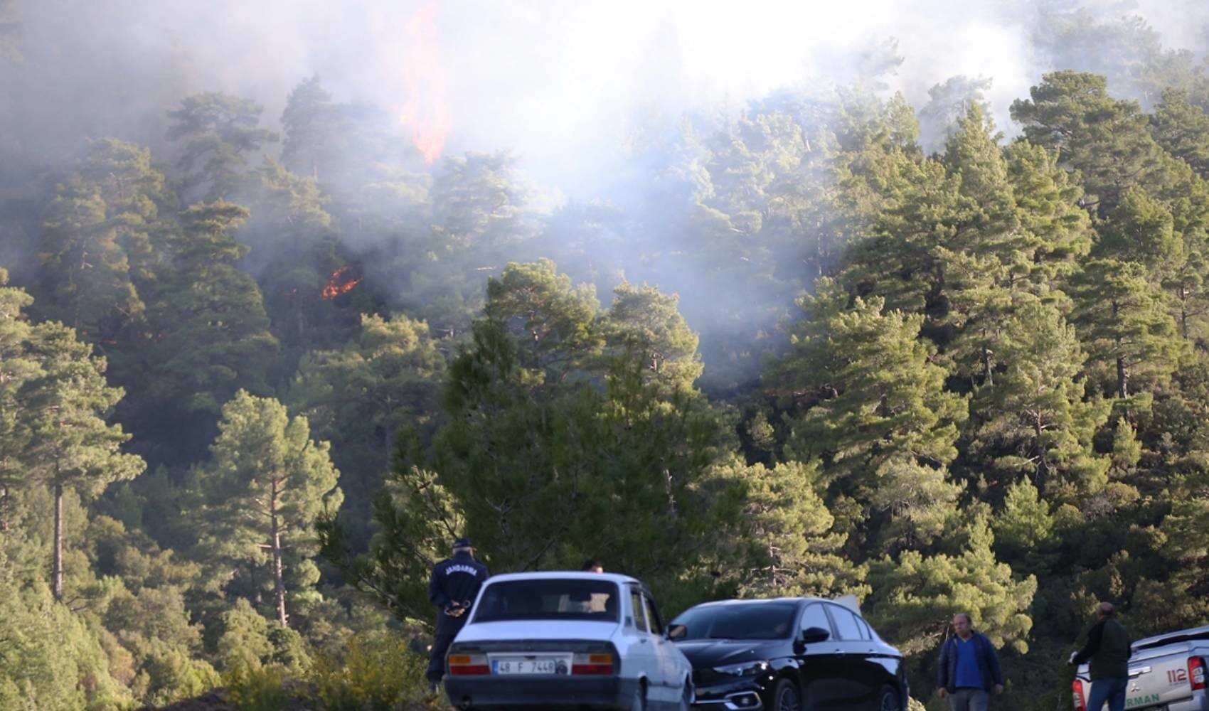 Muğla'da orman yangını! Müdahale devam ediyor