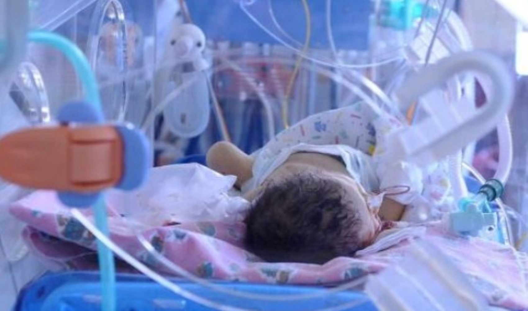 Dichiarazione della Piattaforma degli Ospedali Privati sullo scandalo della banda dei neonati: 