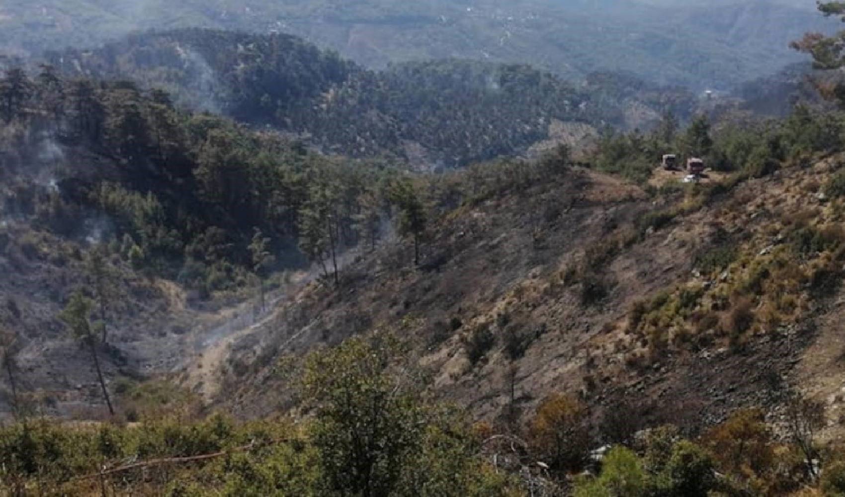 Muğla'da üç gündür süren yangının nedeni belli oldu