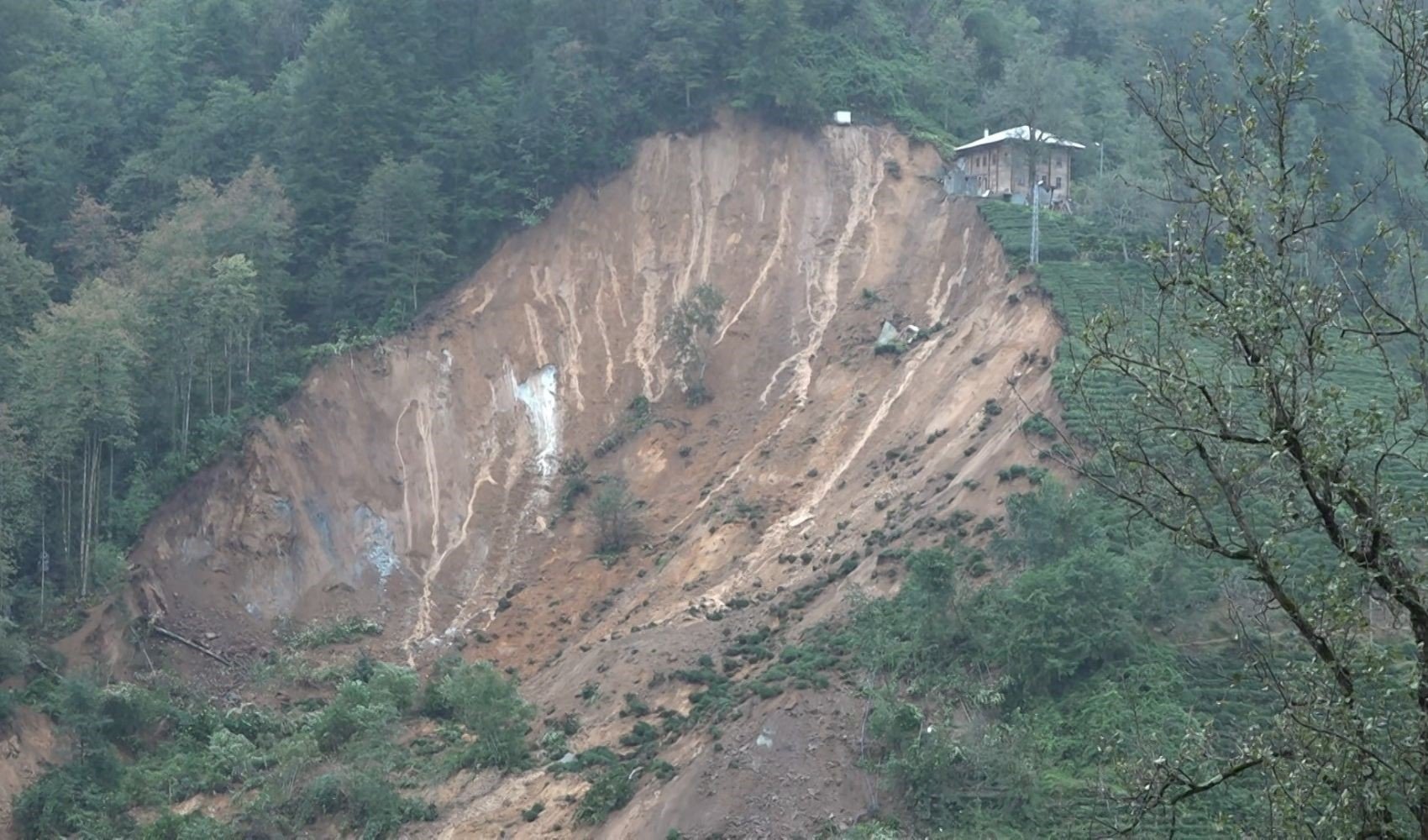 Rize'de heyelan: İki ev toprak altında kaldı!