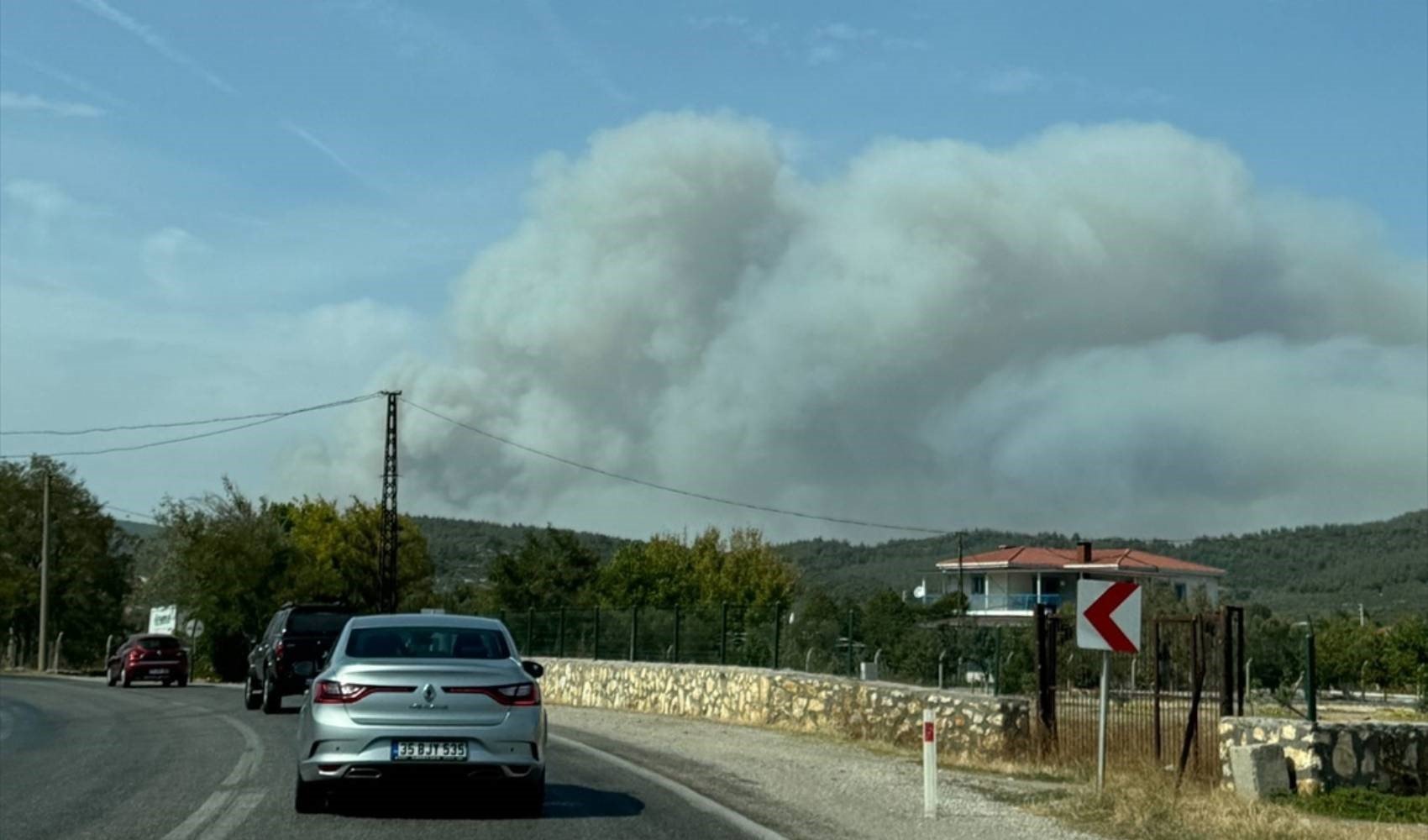 İzmir Foça'da orman yangını