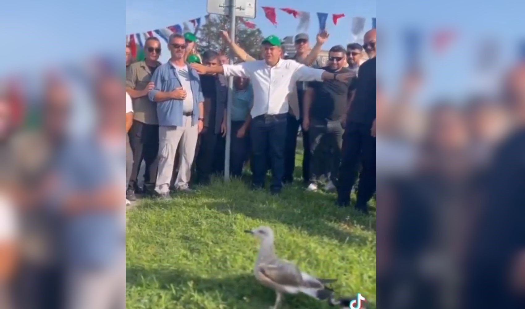 Eminönü’nde martı operasyonu