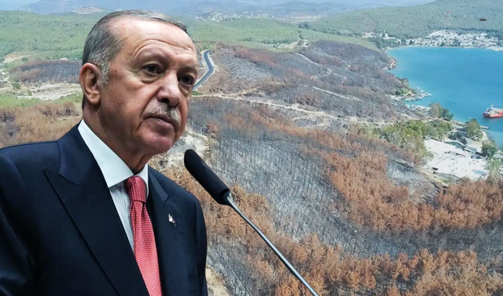 Erdoğan’ın Milli Ağaçlandırma Günü mesajı sosyal medyada tartışma yarattı