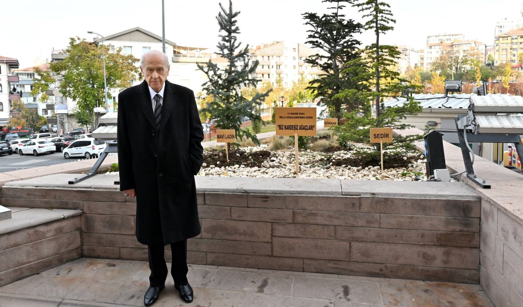 MHP lideri Bahçeli'den bu kez ağaçlı mesaj: Öcalan çıkışını akıllara getirdi