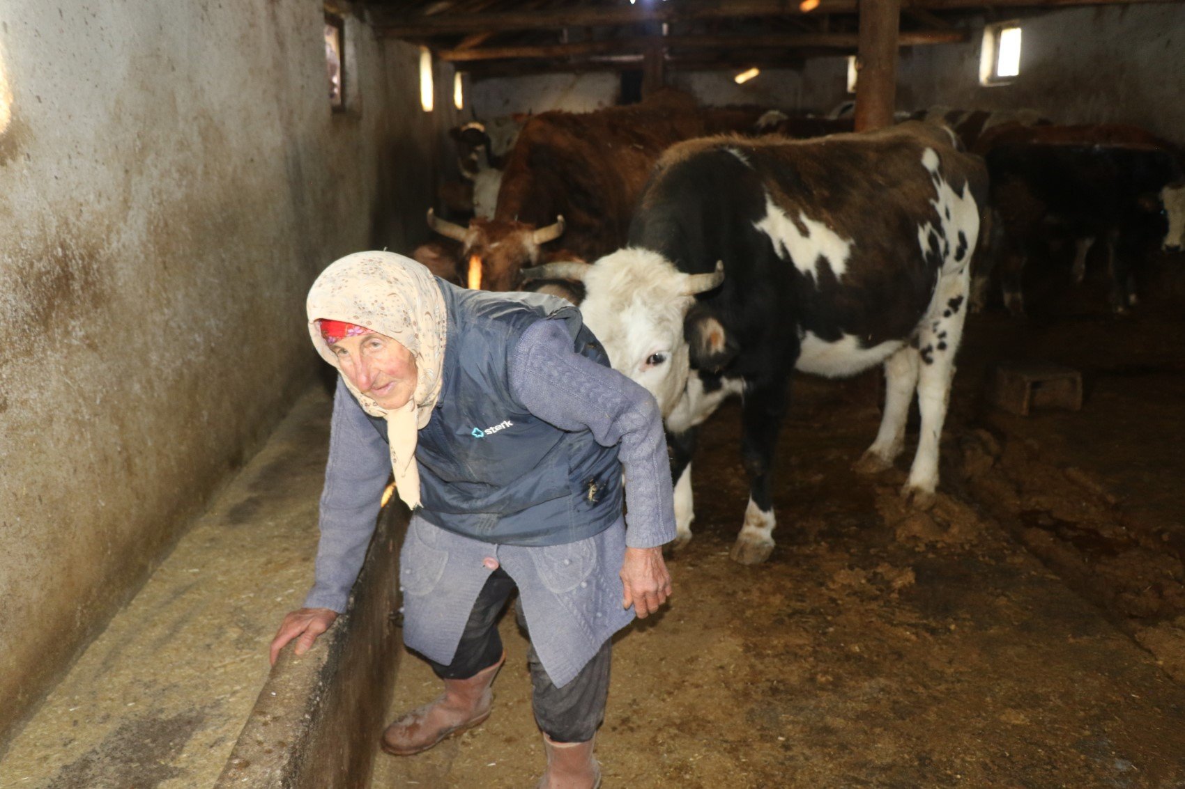 79 yaşındaki Dilber ninenin inanılmaz hayat mücadelesi: 'Görenler maşallah diyor'