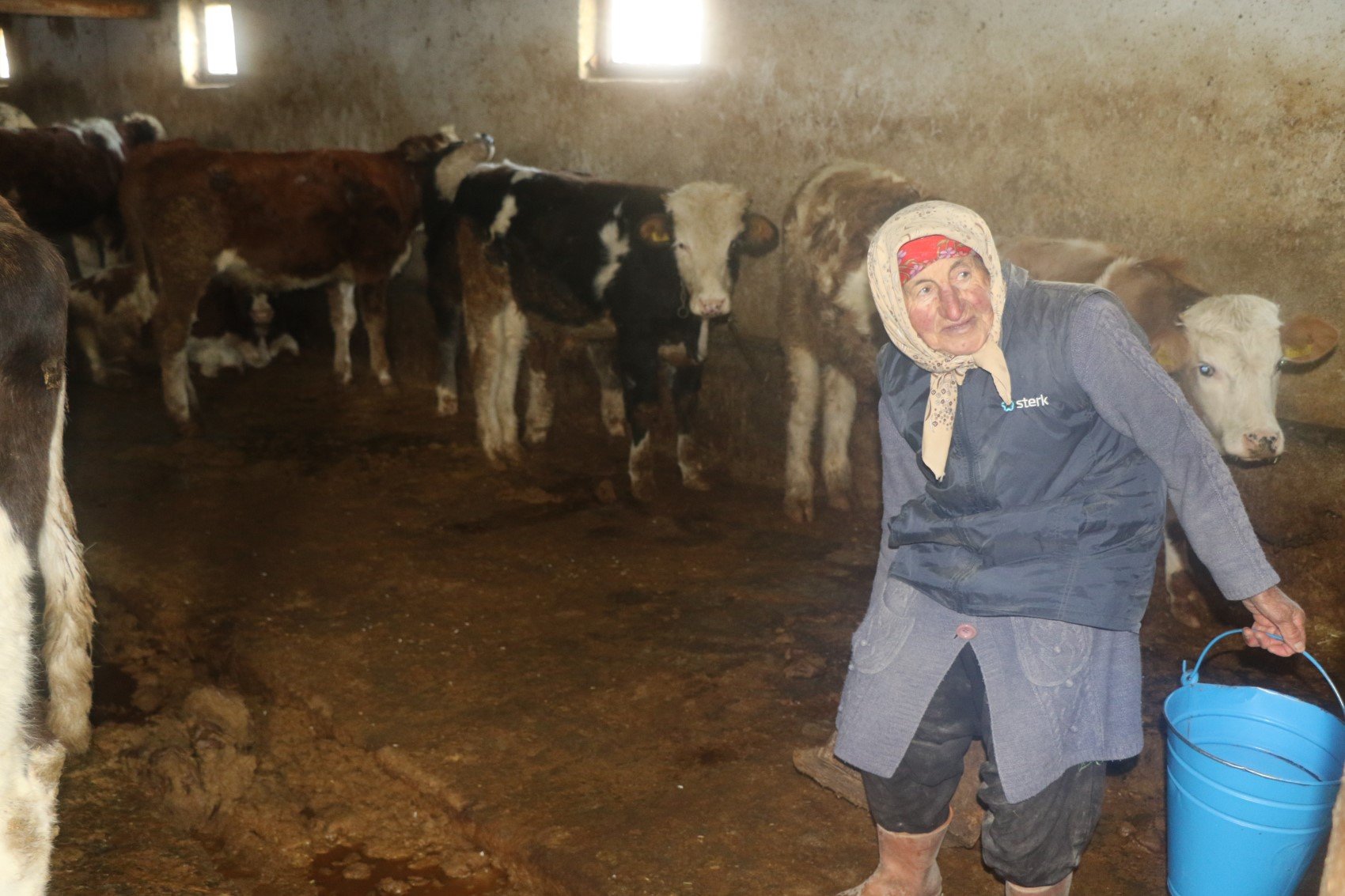 79 yaşındaki Dilber ninenin inanılmaz hayat mücadelesi: 'Görenler maşallah diyor'