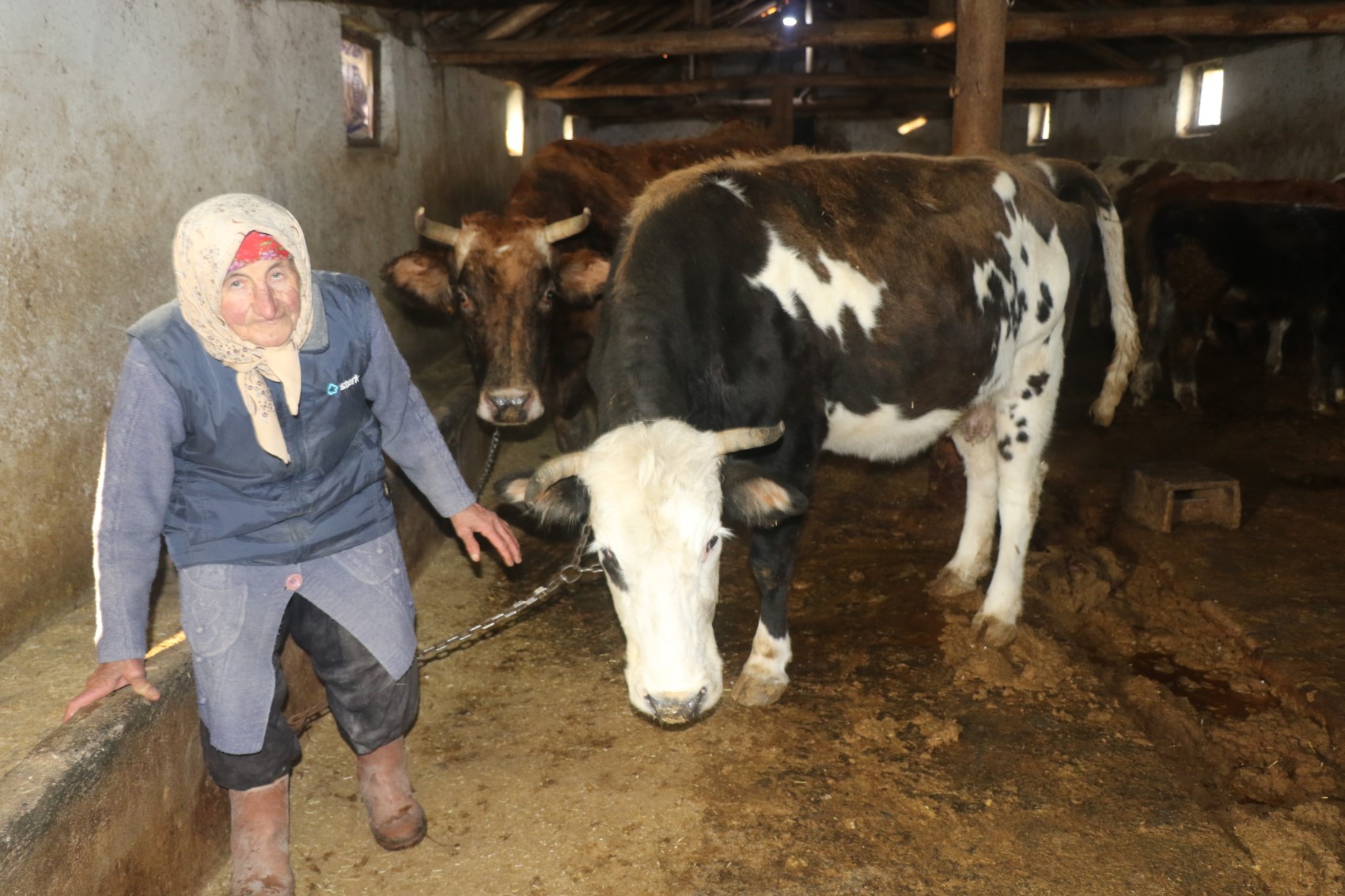 79 yaşındaki Dilber ninenin inanılmaz hayat mücadelesi: 'Görenler maşallah diyor'