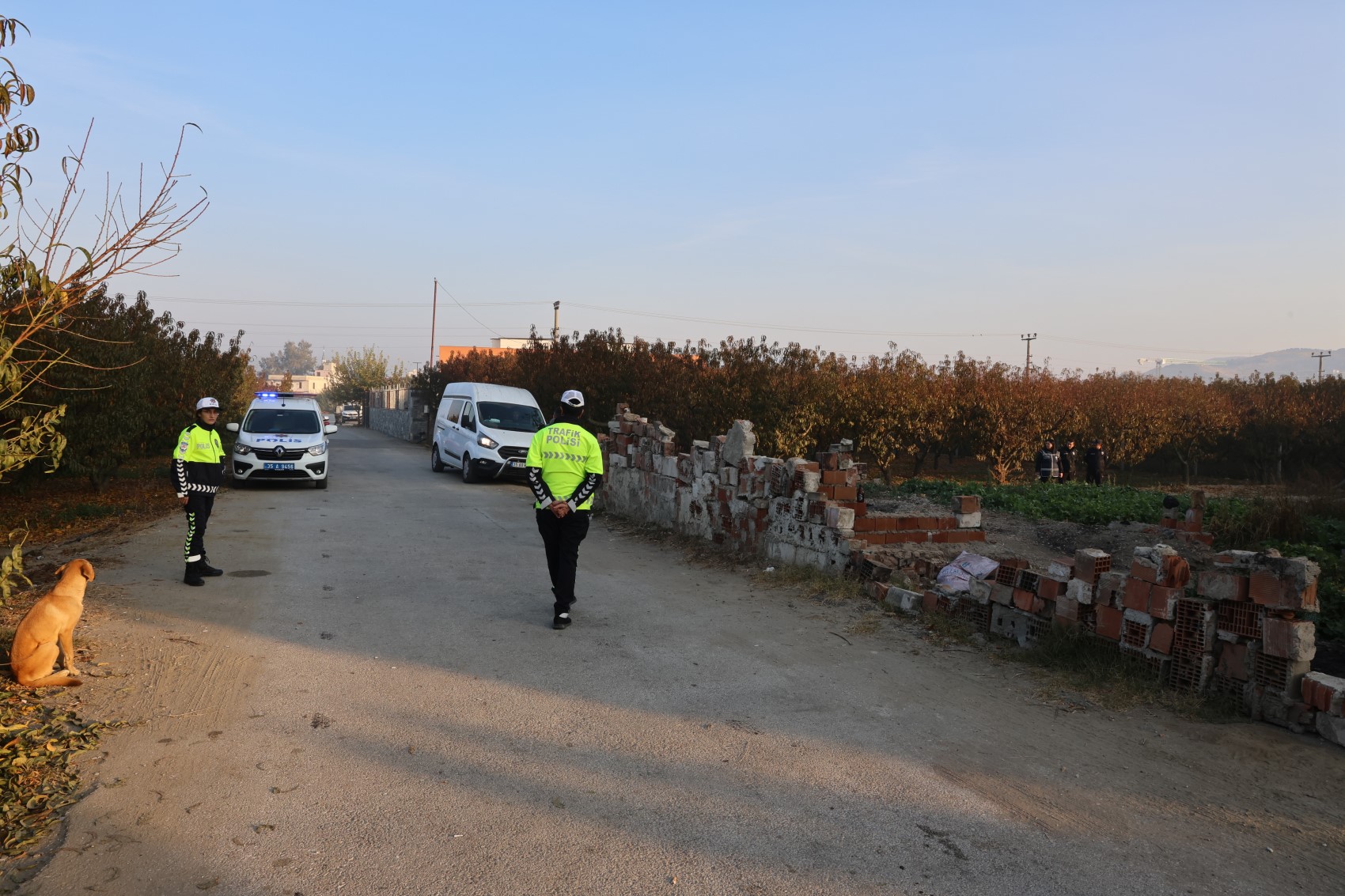 L'affermazione del Ministero sui '110 mila lire di aiuti': la madre distrutta che ha perso 5 figli risponde