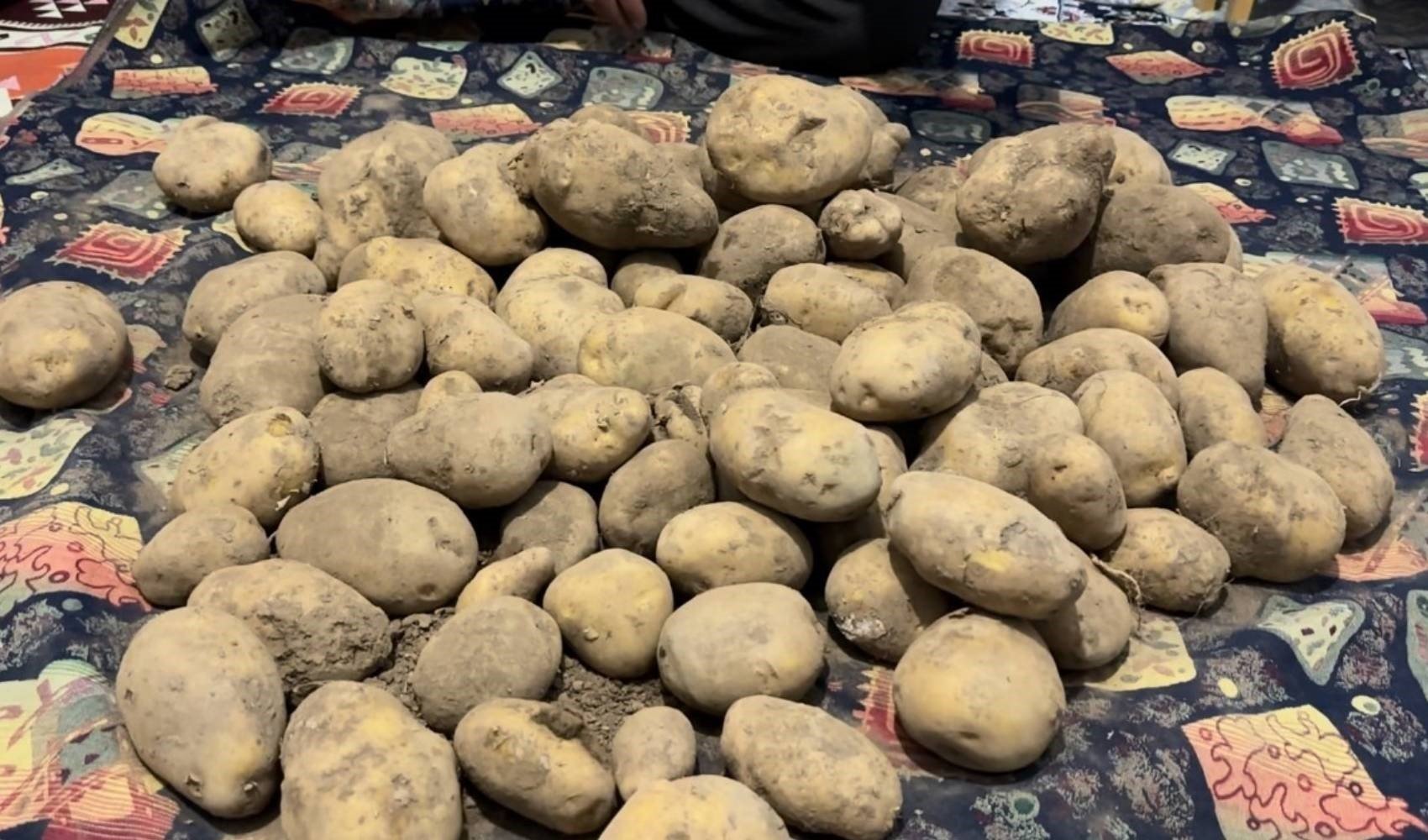 Patates diye aldı 'ördek' çıktı!