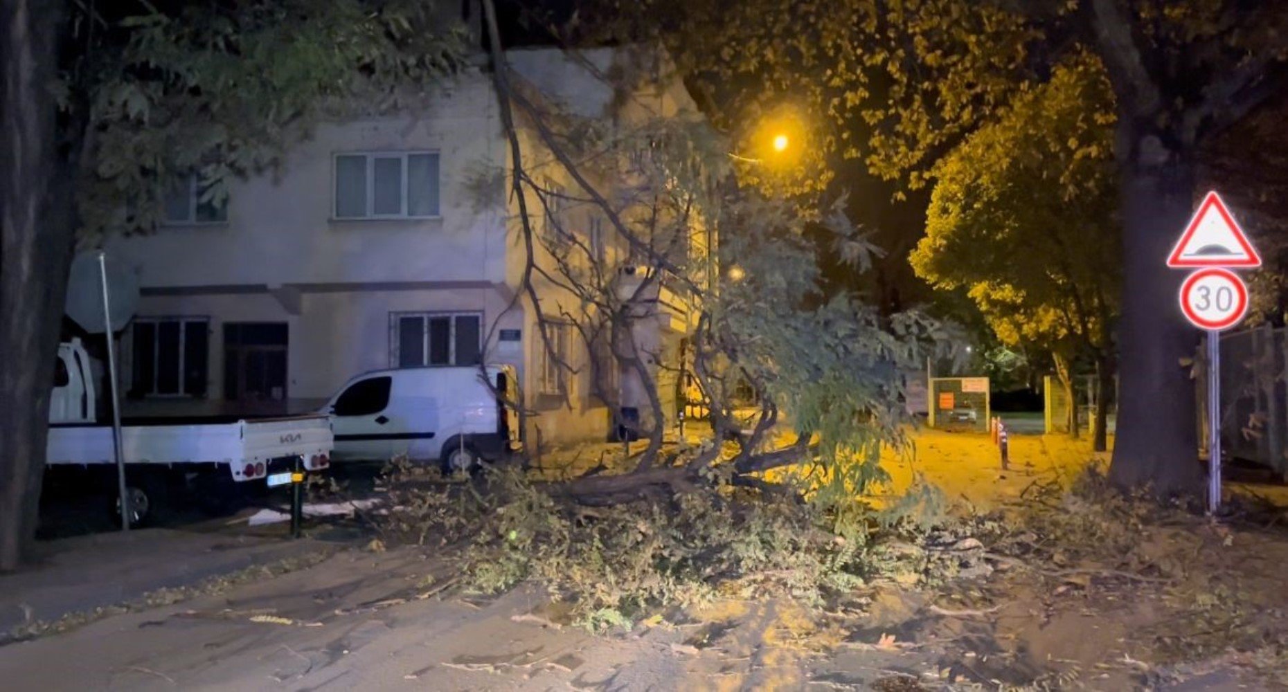 Bursa'da fırtına: Ağaçlar, tabelalar ve inşaat iskelesi devrildi