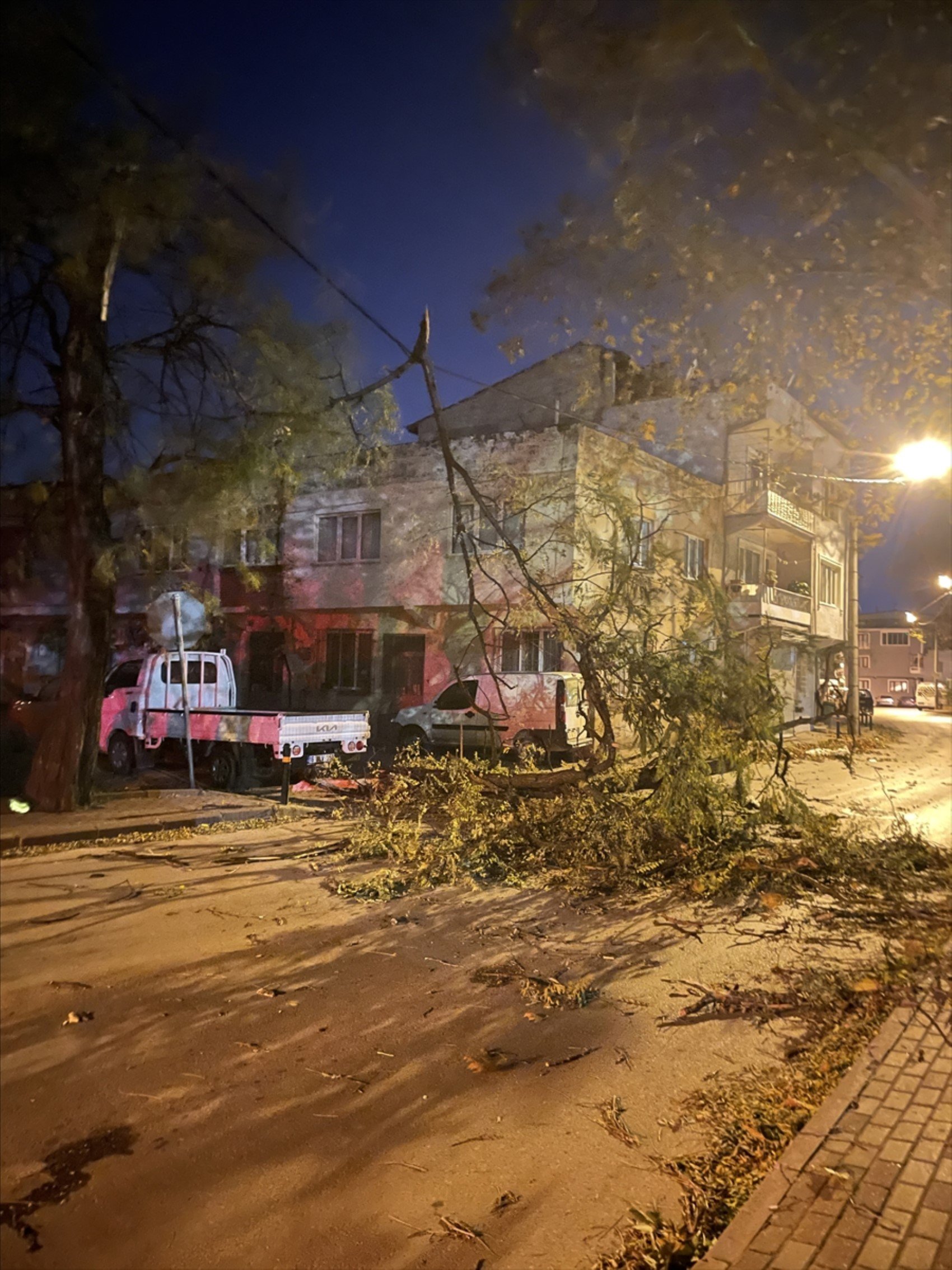 Bursa'da fırtına: Ağaçlar, tabelalar ve inşaat iskelesi devrildi