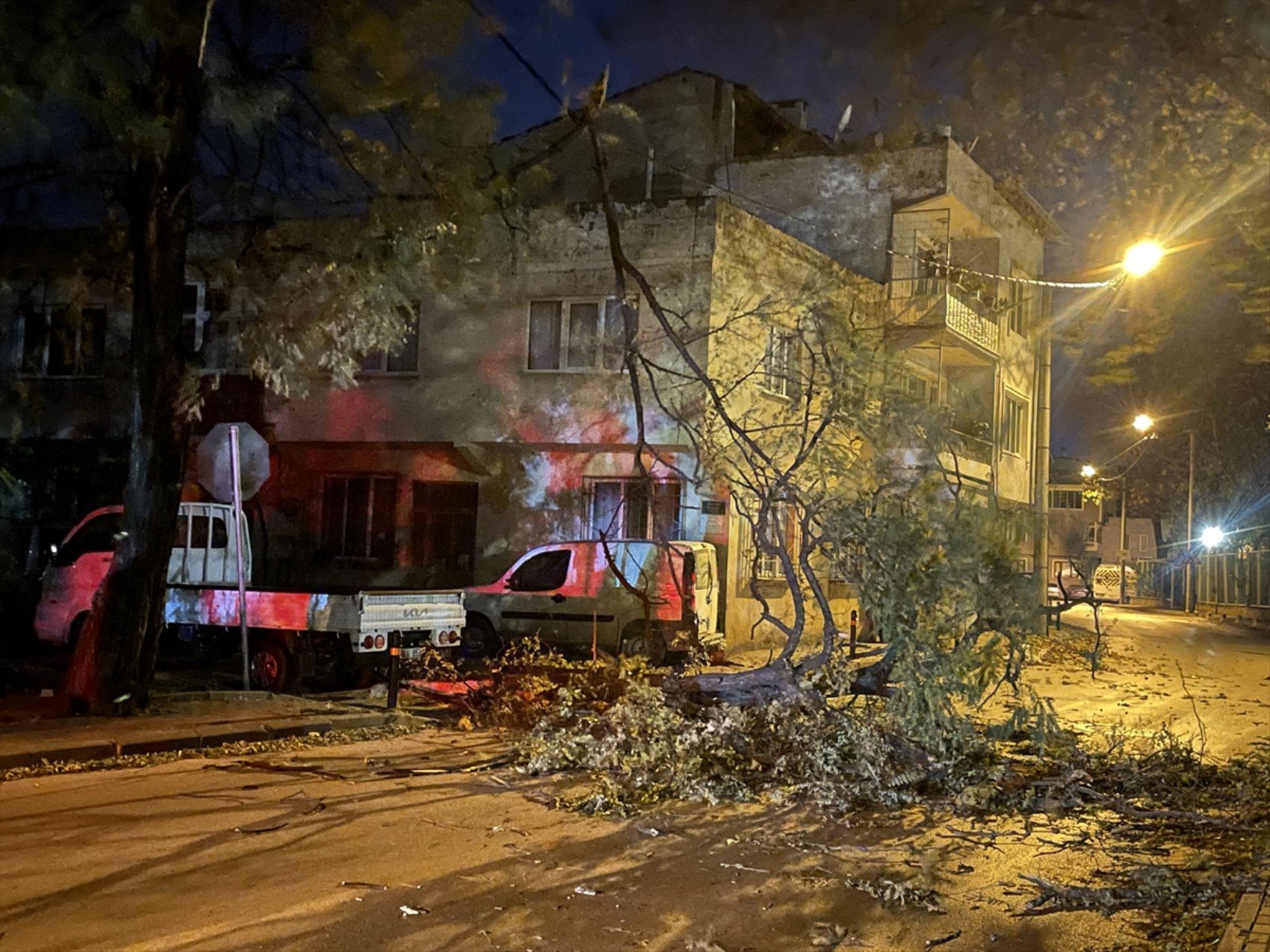 Bursa'da fırtına: Ağaçlar, tabelalar ve inşaat iskelesi devrildi