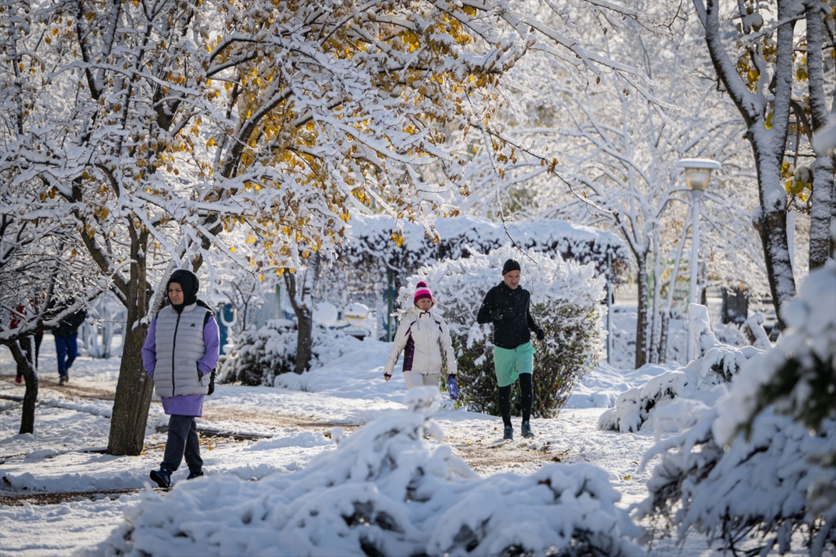 Her yer beyaza büründü: Yurttan kar manzaraları