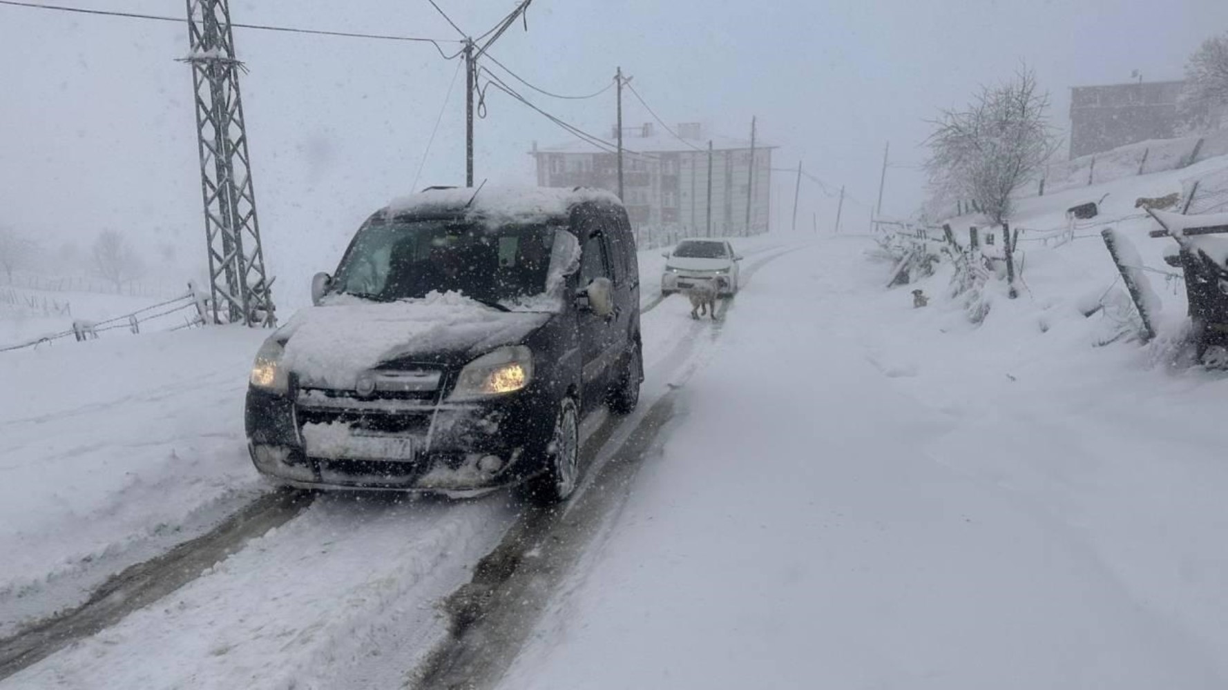 Valiliklerden peş peşe kar tatili açıklaması: Çok sayıda il ve ilçede eğitime 1 günlük ara verildi! İşte 25 Kasım Pazartesi okulların tatil edildiği il ve ilçeler...