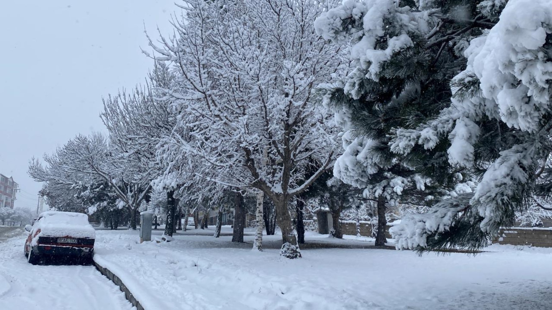 Valiliklerden peş peşe kar tatili açıklaması: Çok sayıda il ve ilçede eğitime 1 günlük ara verildi! İşte 25 Kasım Pazartesi okulların tatil edildiği il ve ilçeler...