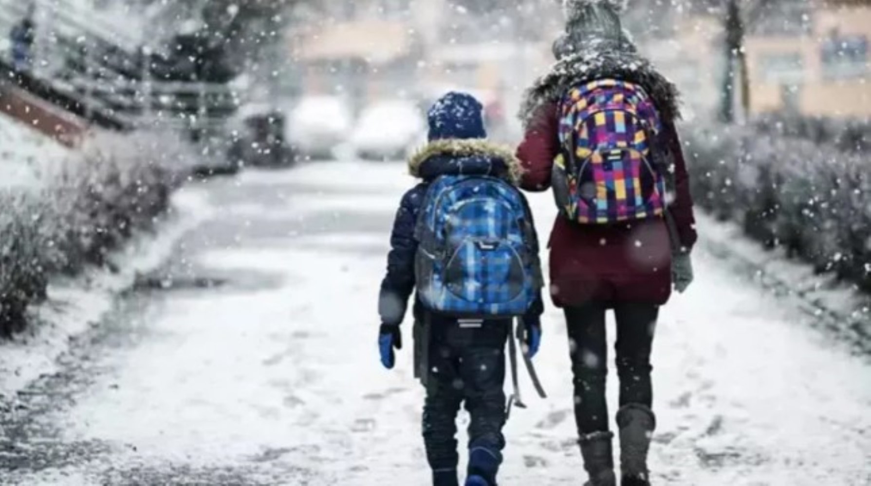 Arrivano notizie di 'scuole chiuse per neve' da tutta la Turchia: ecco le province in cui le lezioni saranno sospese il 26 novembre