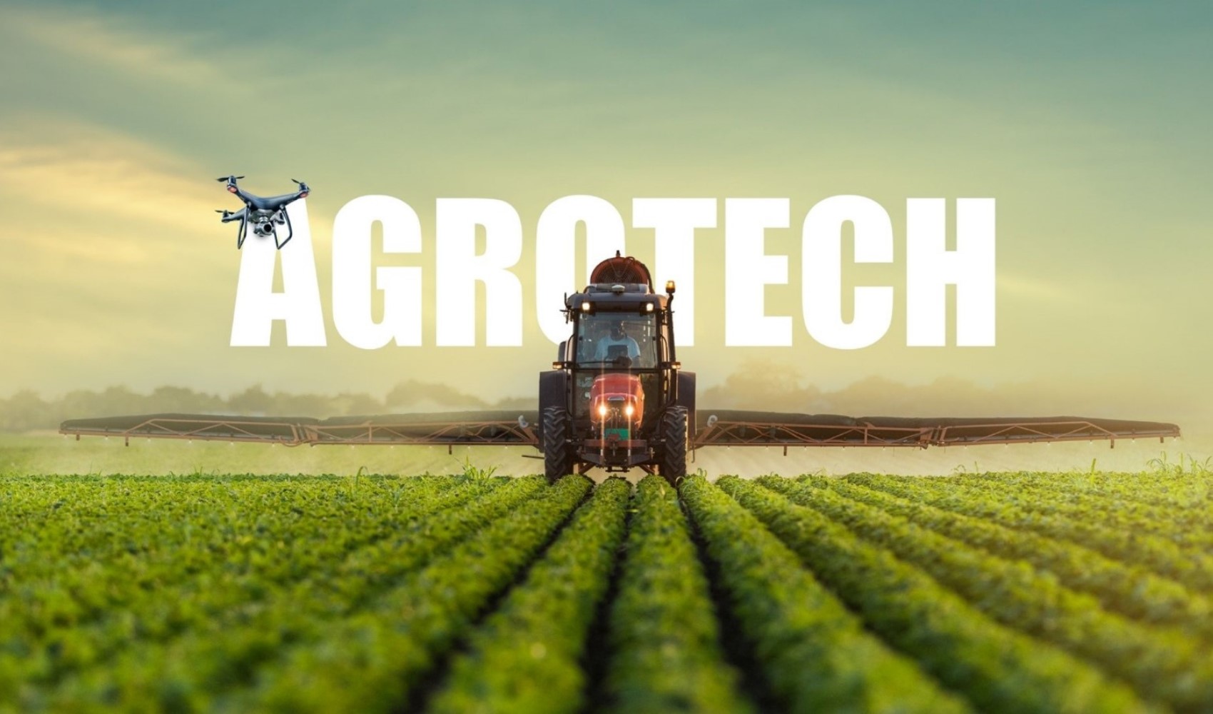 Agrotech (AGROT) ne iş yapıyor? Kimin? Bedelsiz sermaye arttırım kararı mı aldı?