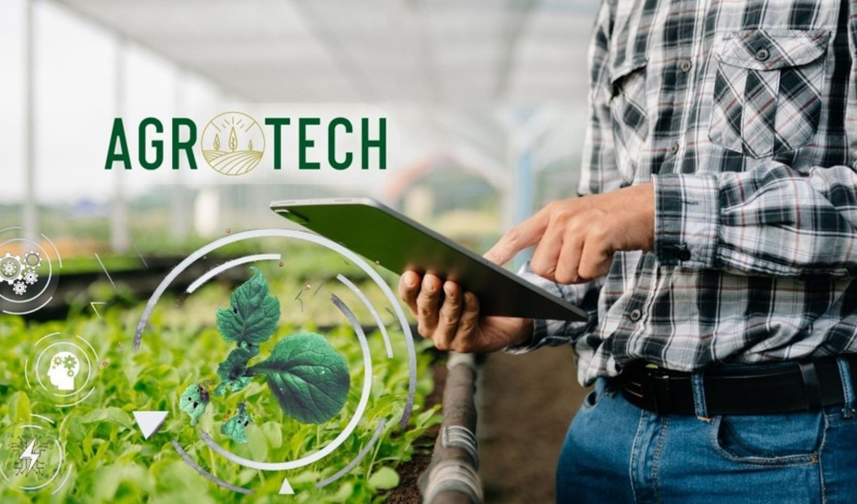 Agrotech (AGROT) ne iş yapıyor? Kimin? Bedelsiz sermaye arttırım kararı mı aldı?