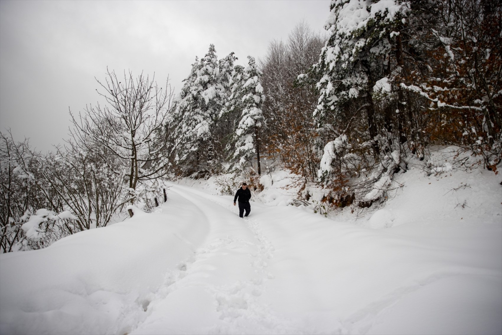 163 località isolate a causa delle nevicate