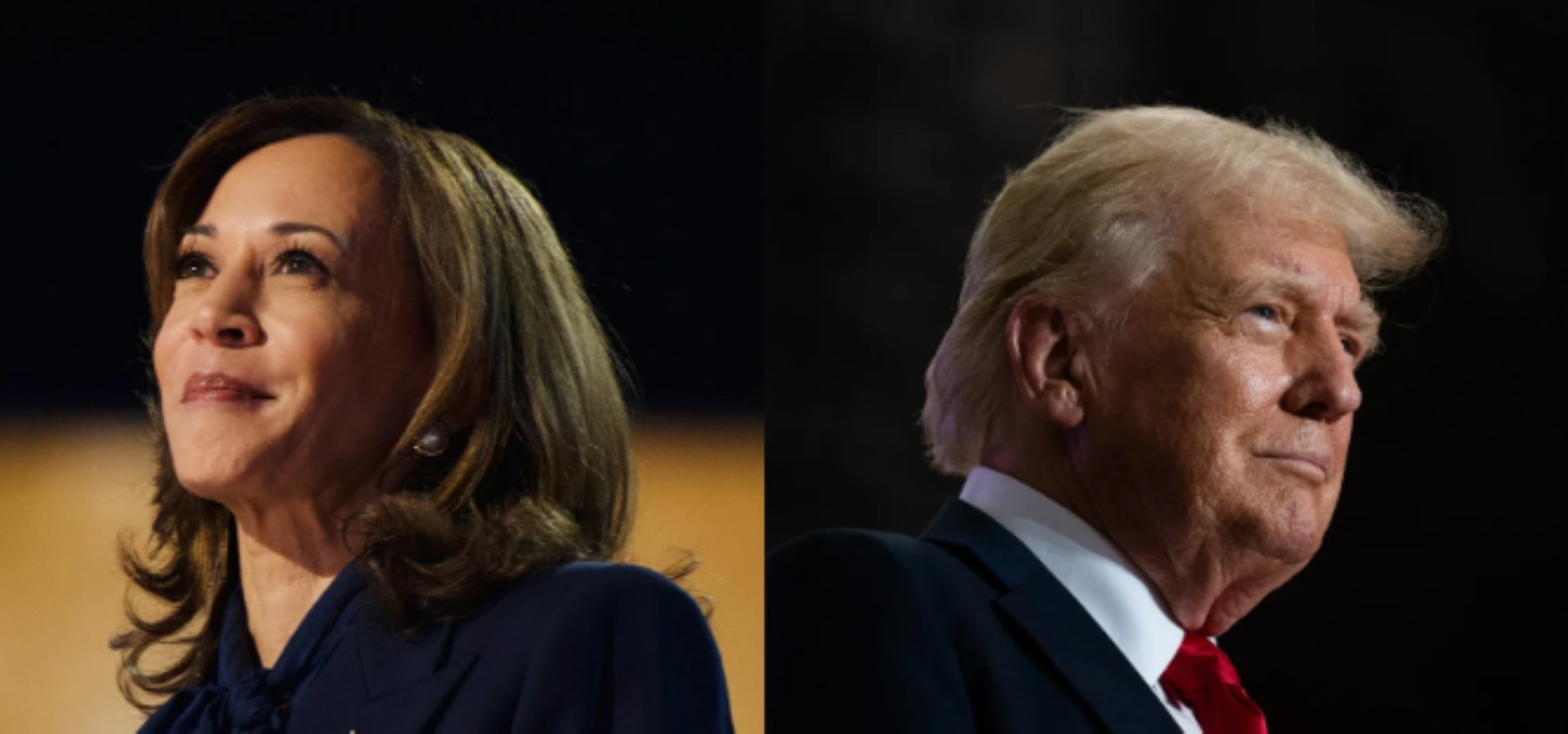 Quale Paese sostiene chi? Donald Trump o Kamala Harris vinceranno le elezioni?