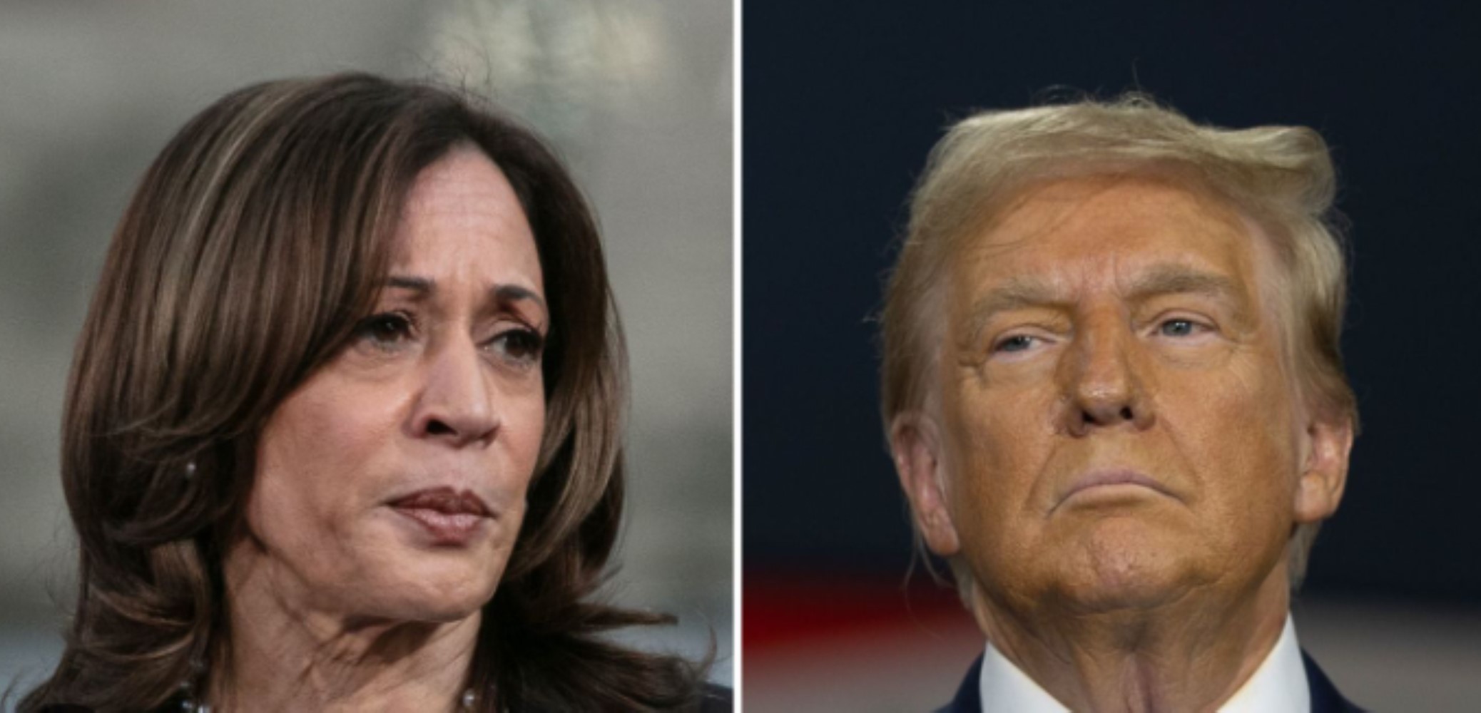 Quale Paese sostiene chi? Donald Trump o Kamala Harris vinceranno le elezioni?