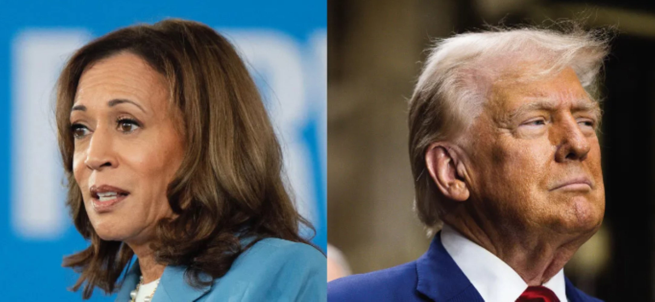 Quale Paese sostiene chi? Donald Trump o Kamala Harris vinceranno le elezioni?
