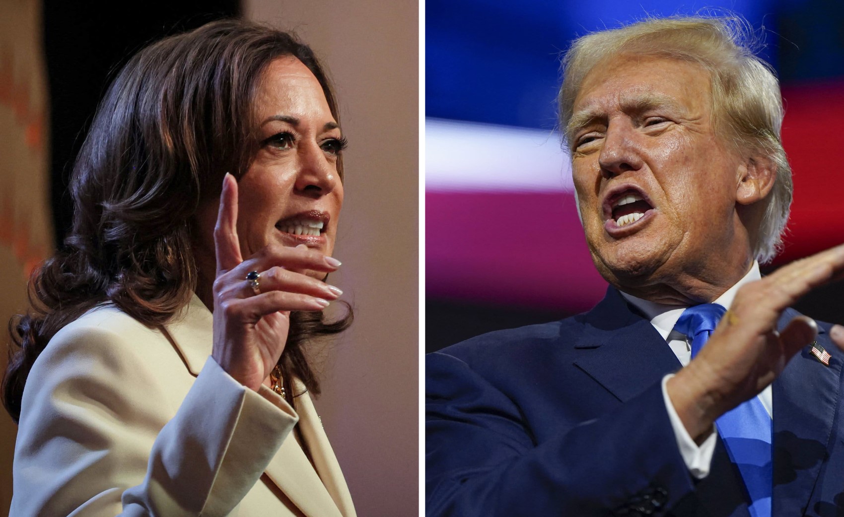 Quale Paese sostiene chi? Donald Trump o Kamala Harris vinceranno le elezioni?