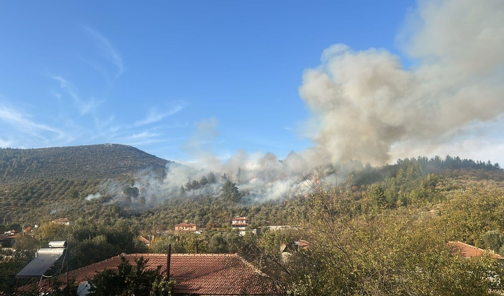 Muğla'da orman yangını! Söndürme çalışmaları sürüyor