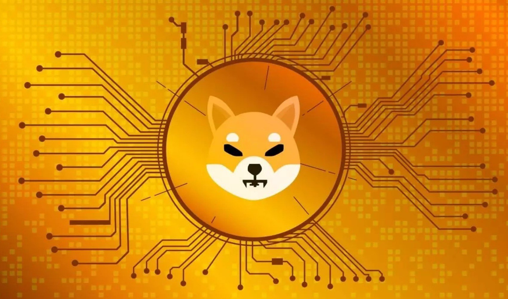 ABD seçimleri sonrası Shiba coin ne kadar oldu? Shiba coin Arttı mı?