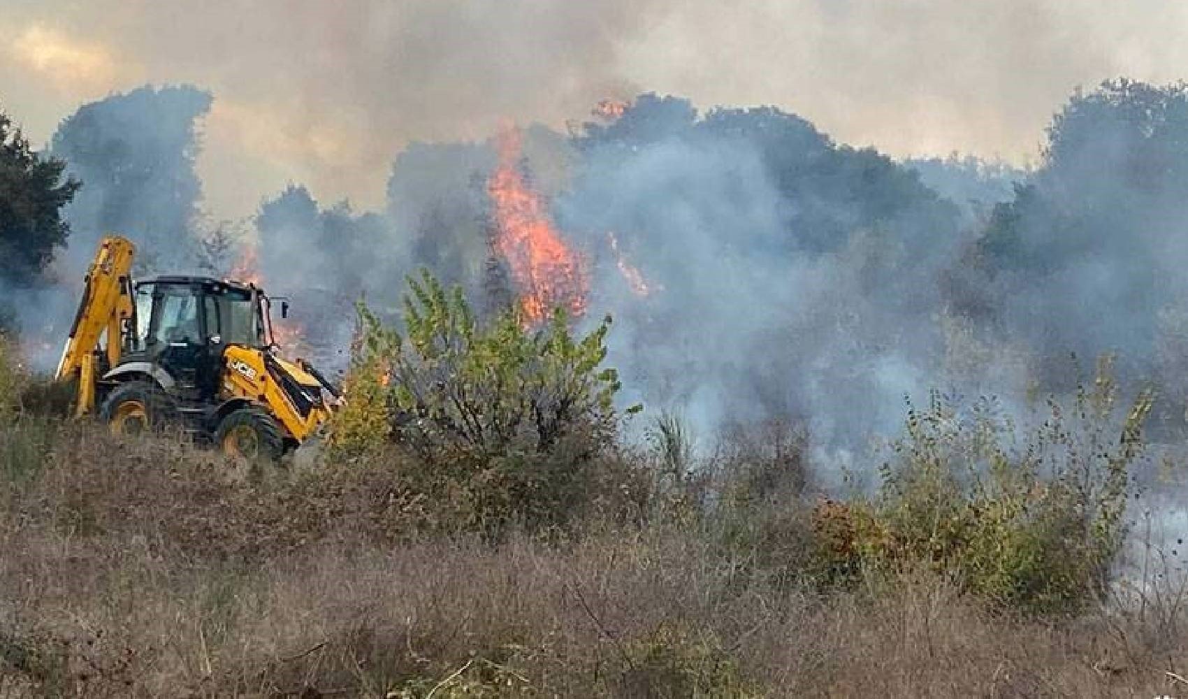 Çanakkale'de orman yangını çıktı