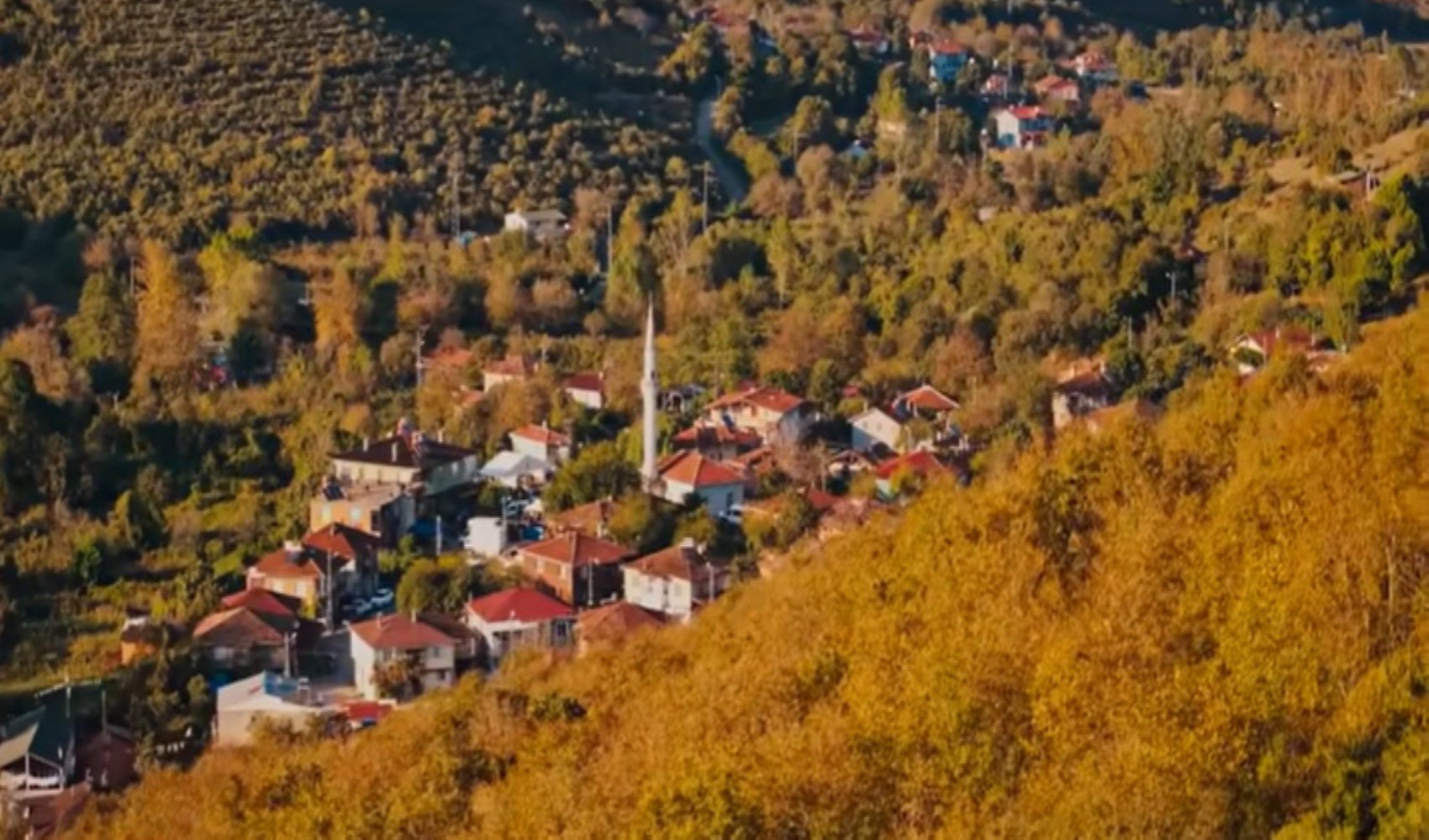 Narin Güran'ın cesedini gömen Nevzat Bahtiyar'ın yalanları bitmiyor! Söylediği yalan böyle ortaya çıktı...