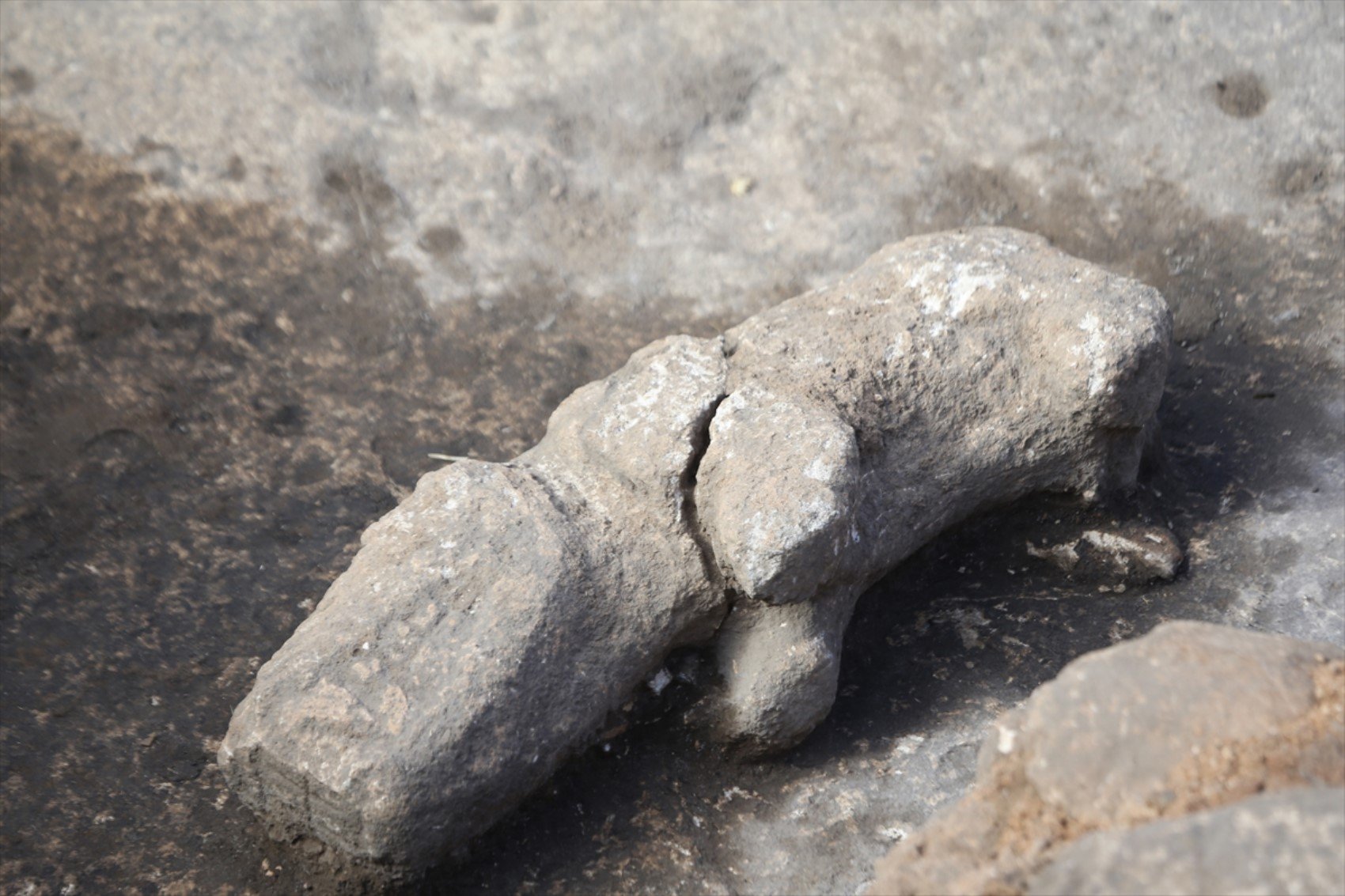 Karahantepe kazı alanında yeni bulgular