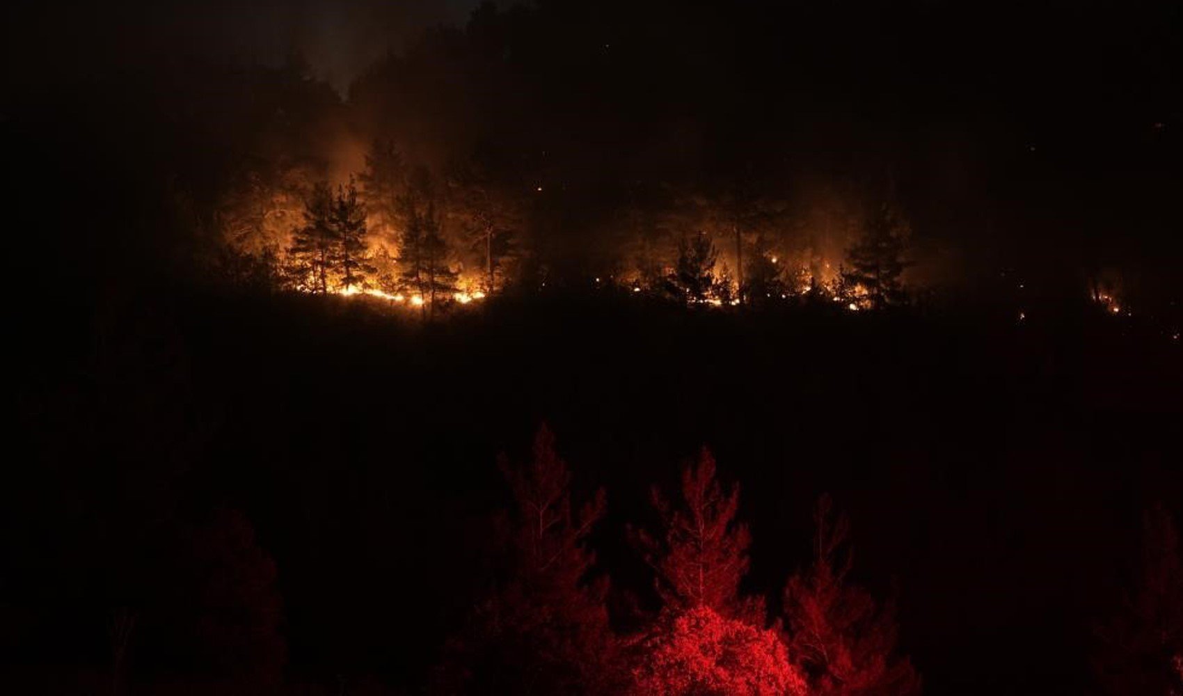 Balıkesir ile Bursa sınırındaki orman yangını kontrol altında