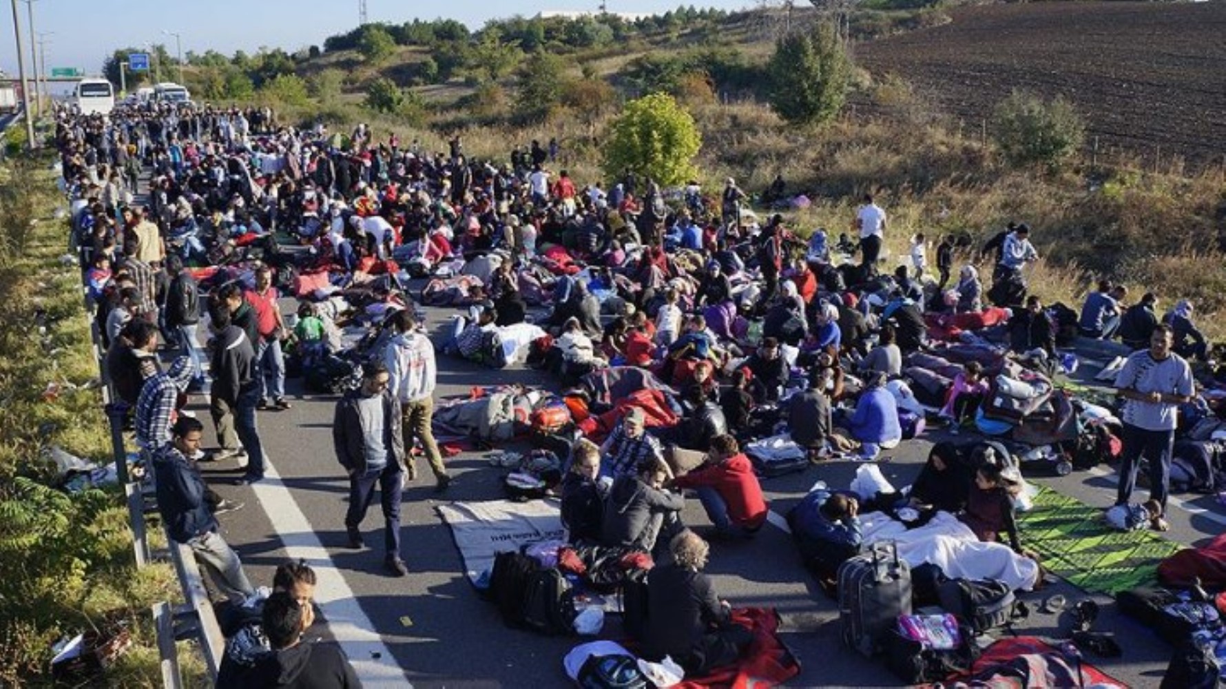 I paesi europei sospendono le domande di asilo dei siriani: si pianificano le espulsioni