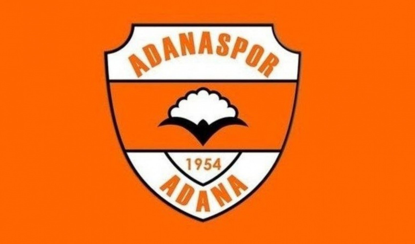 Adanaspor'un yeni sahibi Ergin Göleli kimdir? Ergin Göleli kaç yaşında, ne iş yapıyor?