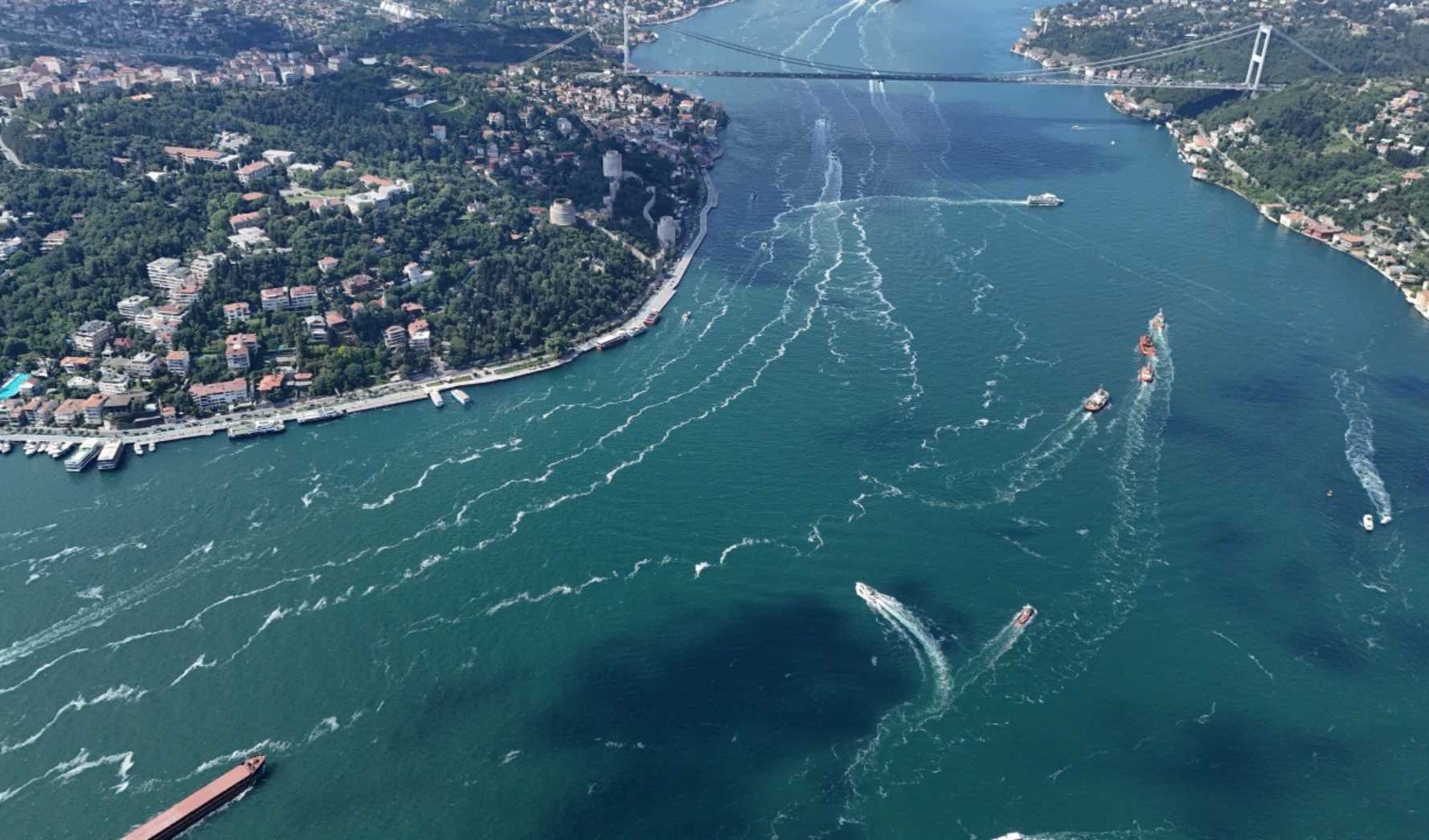 Marmara'da yeniden müsilaj kabusu: İki noktadan girdi