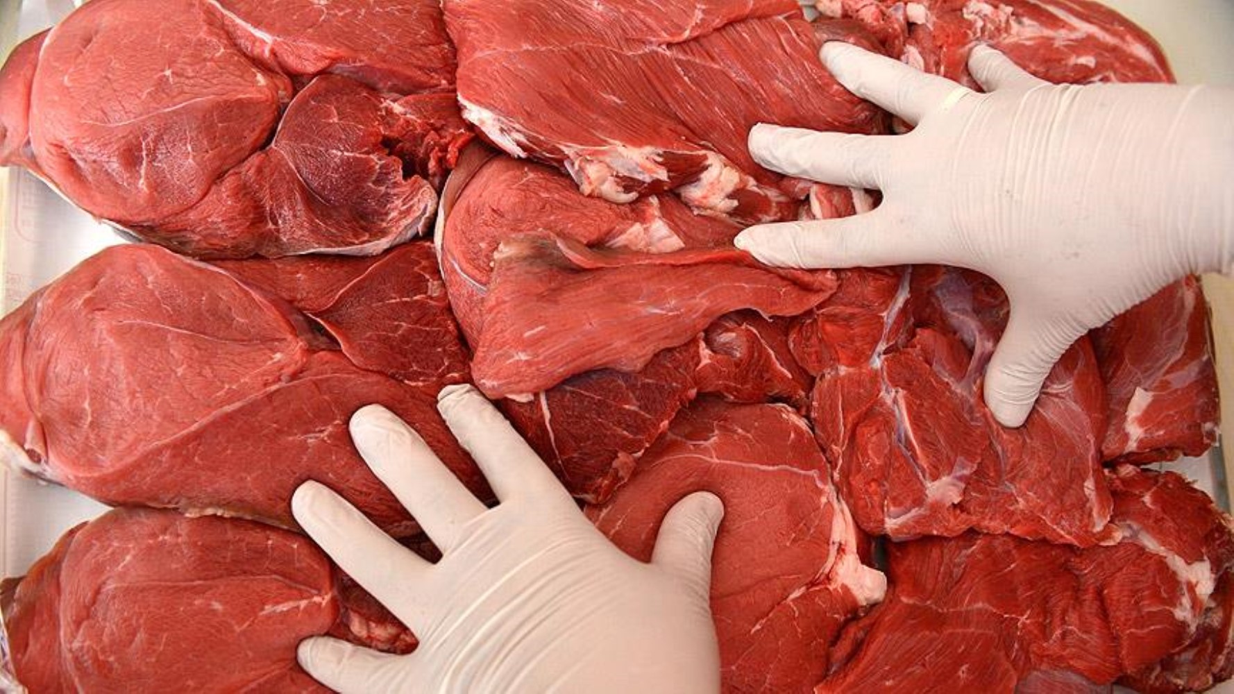 Il Ministero ha reso noti i prodotti alimentari contraffatti e adulterati: ecco le province in cui si vende più carne di cavallo e asino
