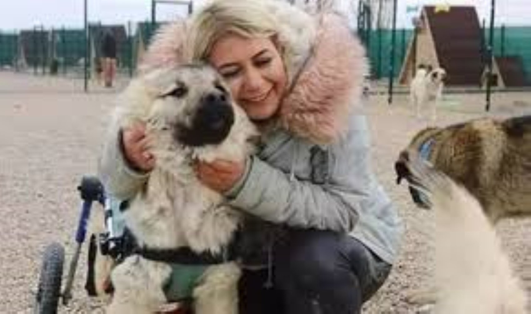 Köpek velisinin topladığı paralarla neler yaptığı ortaya çıktı