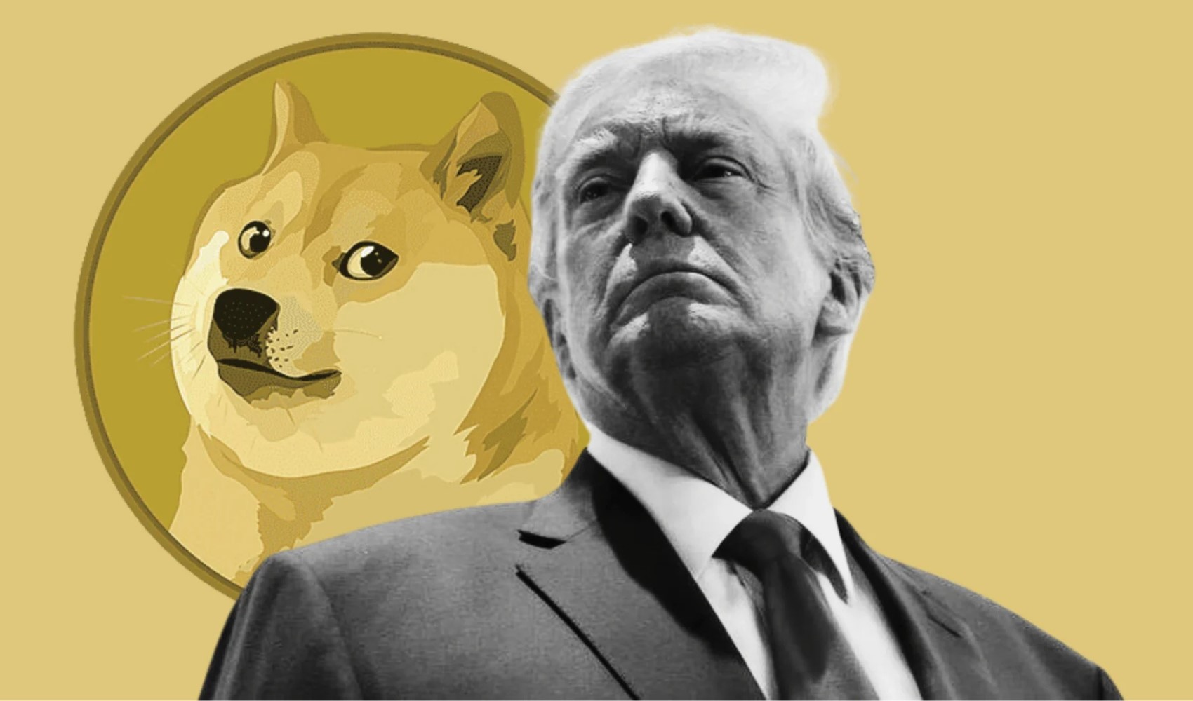 Quanto vale Dogecoin il 5 dicembre? Dogecoin è in rialzo? Qual è la situazione attuale sul mercato di Dogecoin?
