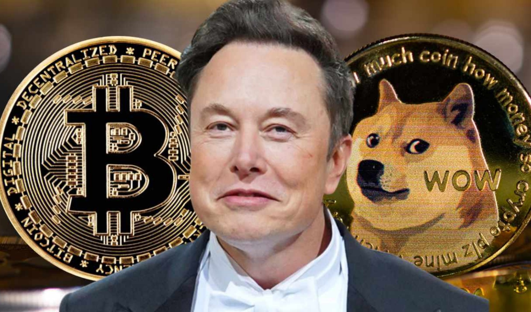 Quanto vale Dogecoin il 5 dicembre? Dogecoin è in rialzo? Qual è la situazione attuale sul mercato di Dogecoin?