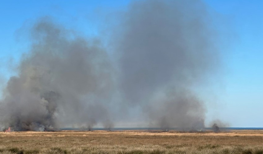 Kızılırmak Deltası Kuş Cenneti'nde yangın çıktı