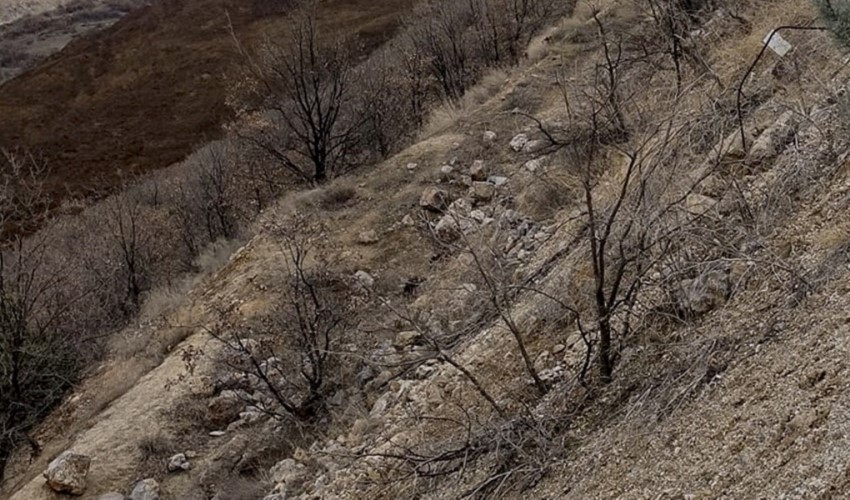 Erzincan İliç altın madeni toprak kayması ekokırım ve uluslararası hukuk açısından hukuksal seçenekler