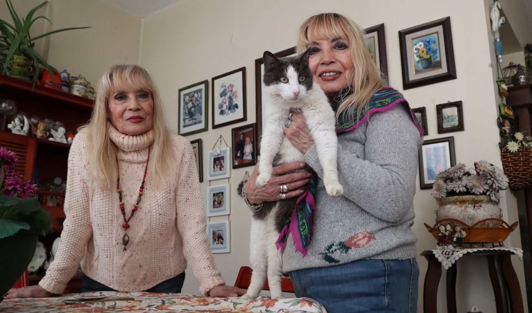 Meral ve Zuhal Kandemir kardeşler, Kadıköy'de yüzlerce kedinin ihtiyaçlarını karşılıyor