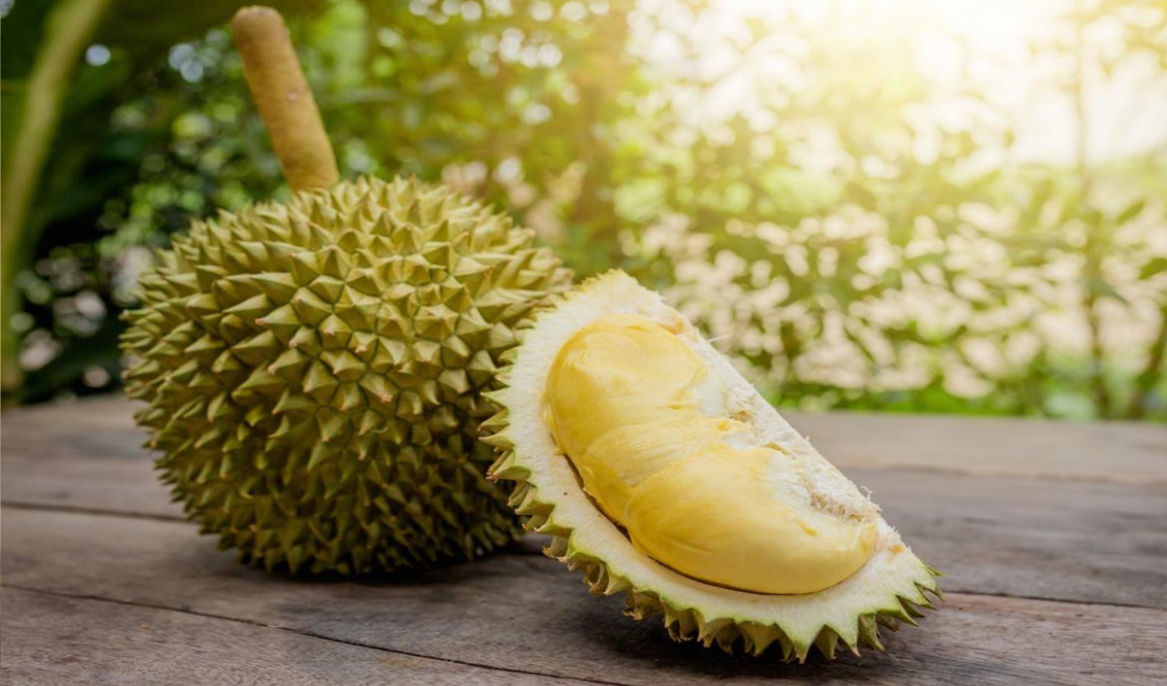 Meyvelerin kralı: Durian