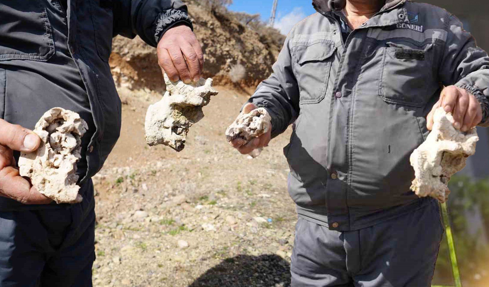 Ekipler incelemeye aldı: Niğde’de 'dinozor fosili' bulundu iddiası