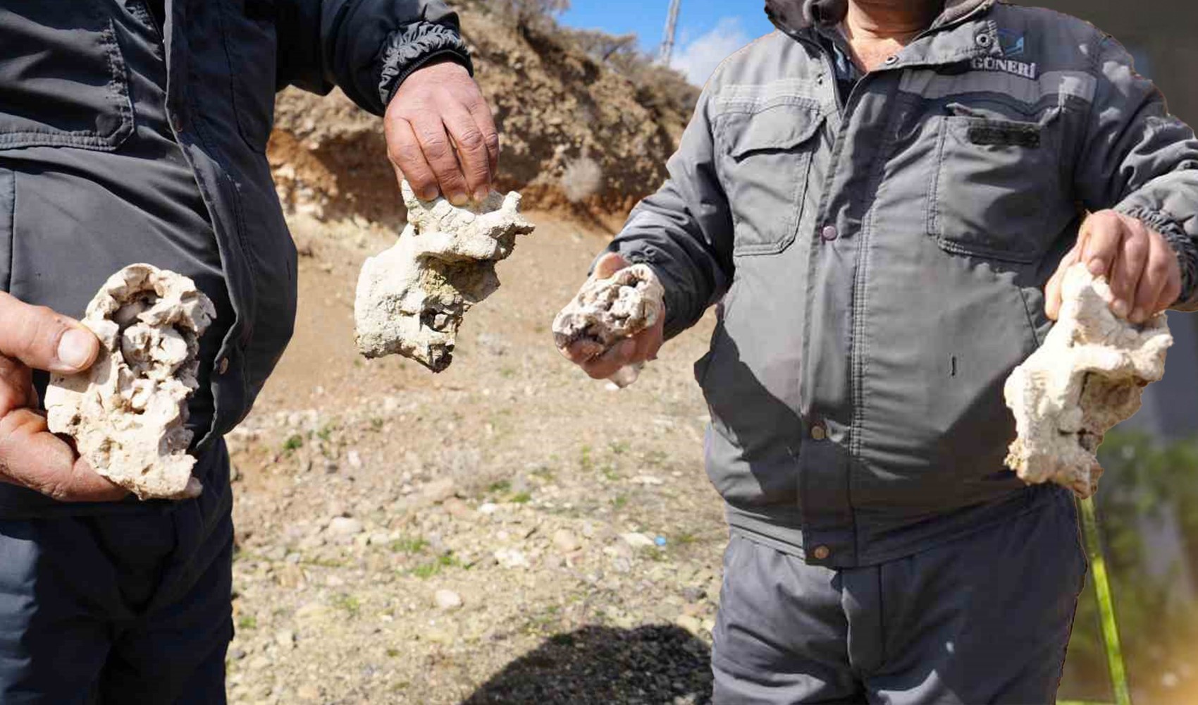 Niğde’deki ‘dinozor fosili’ iddiası bakın ne çıktı