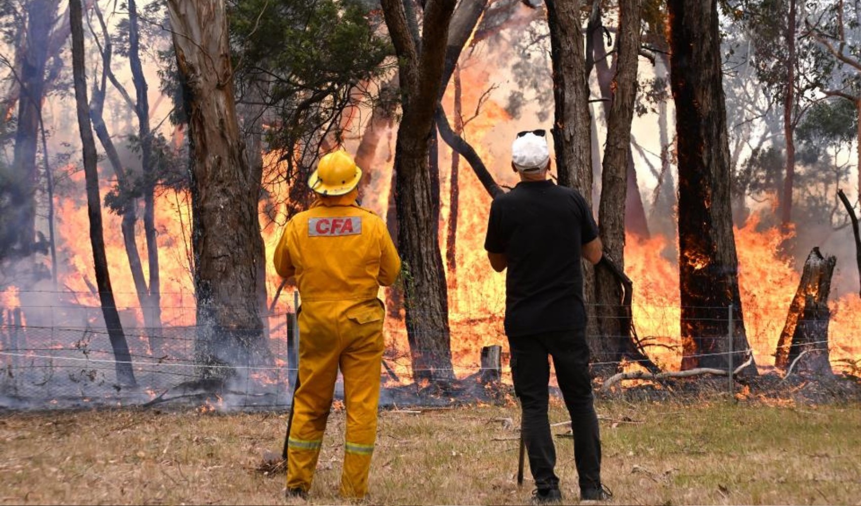 Avusturalya’da yangın: 16 bin hektarlık alan kül oldu
