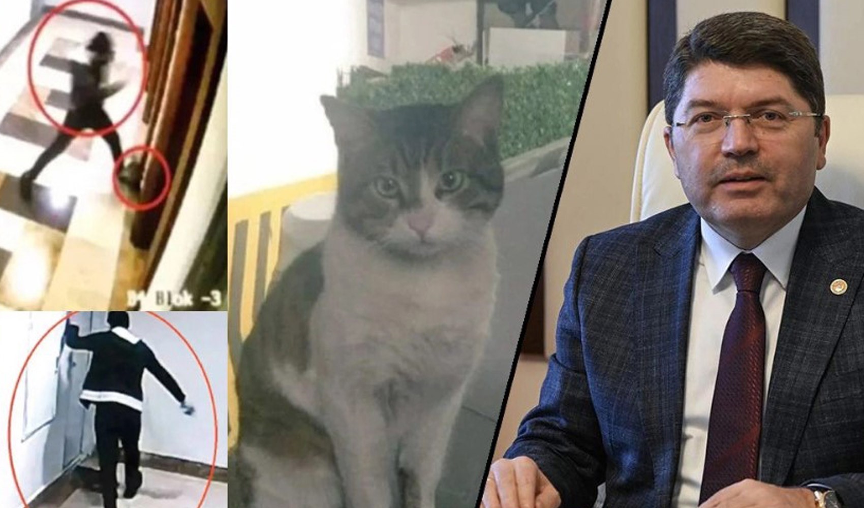 Adalet Bakanı Tunç’tan 'Kedi Eros’a dair yeni açıklama