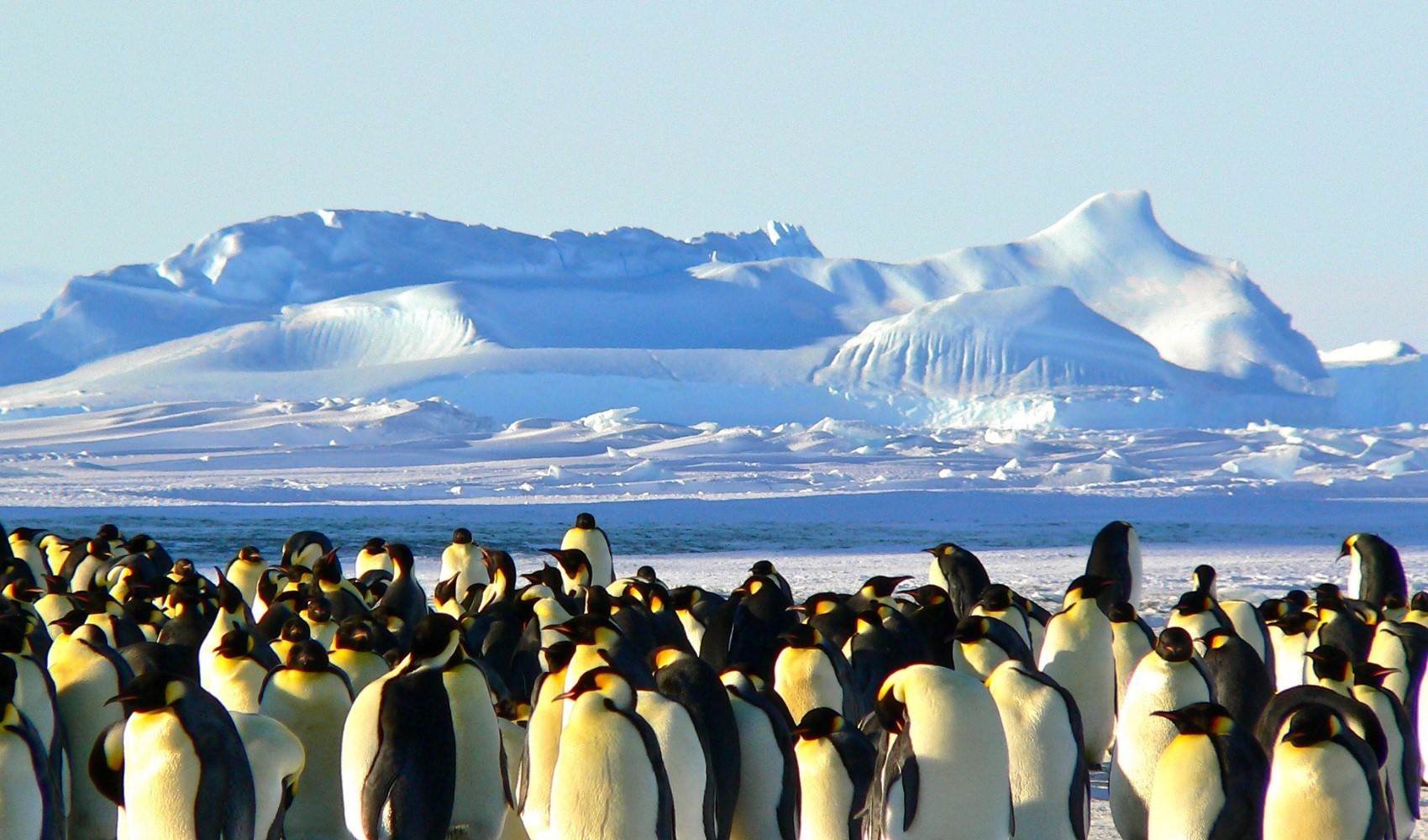 Antarktika’da çalışacak eleman aranıyor